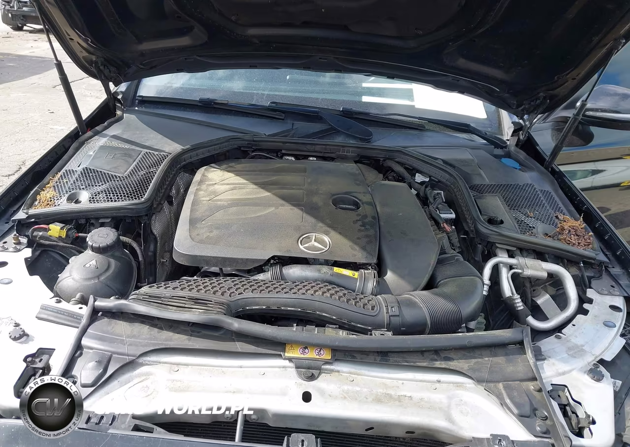 2019 Mercedes-Benz C 300 VIN:55SWF8DB6KU294901 - 10