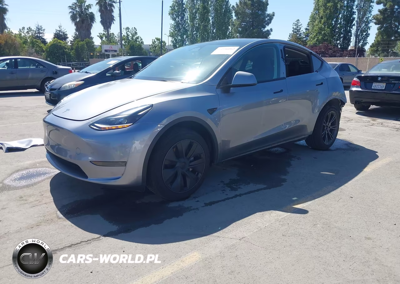 2025 Tesla Model Y Long Range Dual Motor Rear-Wheel Drive VIN:7SAYGDED6SF319914 - 2