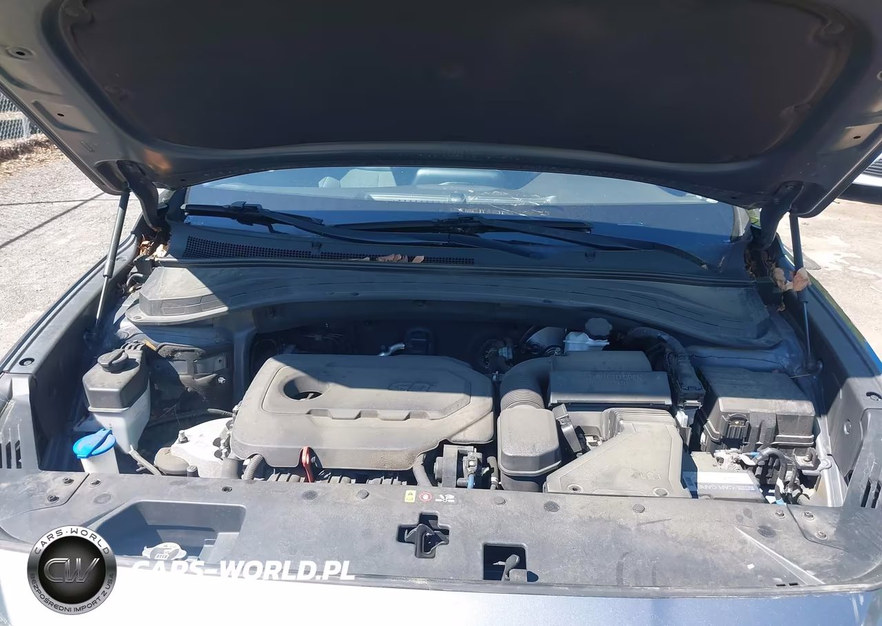 2020 Hyundai Santa Fe Se VIN:5NMS23AD3LH175689 - 10