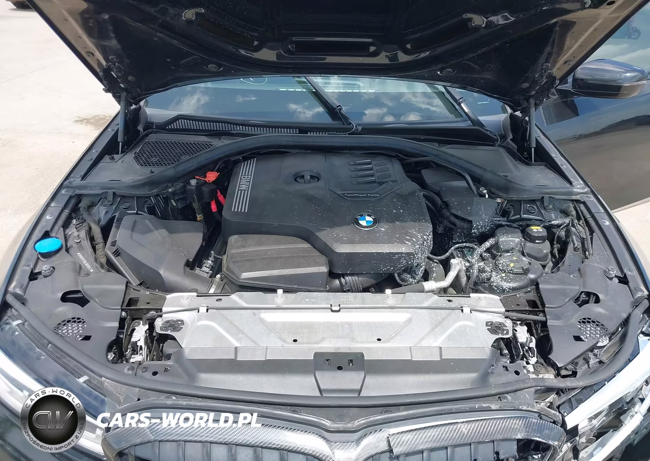 2020 BMW 330I VIN:3MW5R1J06L8B30243 - 10