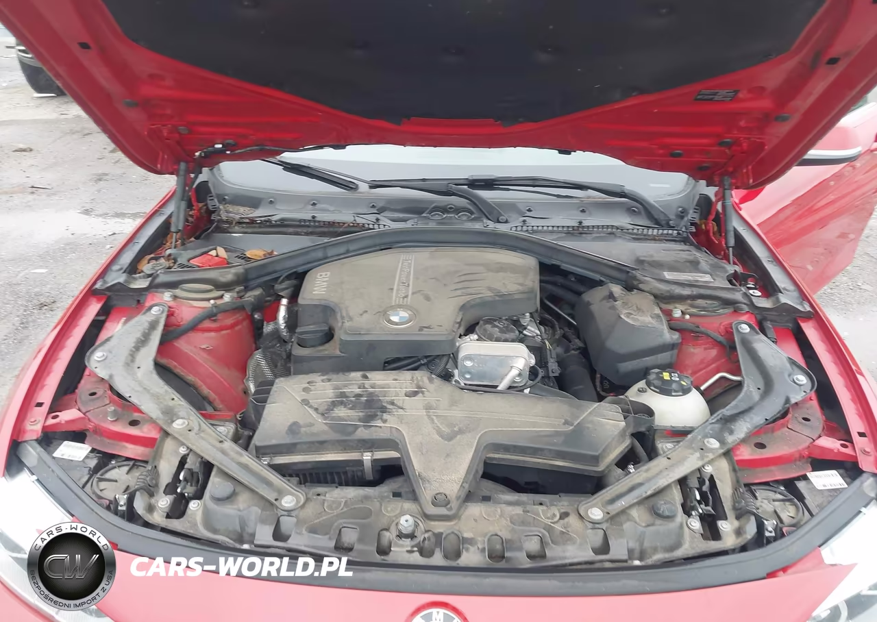 2014 BMW 428I VIN:WBA3V5C53EJ969082 - 10