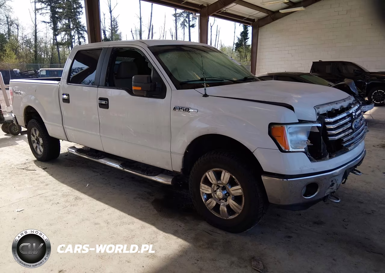 2010 Ford F-150 Fx4-Harley-Davidson-King Ranch-Lariat-Platinum-Xl-Xlt