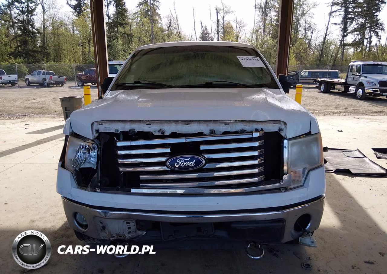 2010 Ford F-150 Fx4-Harley-Davidson-King Ranch-Lariat-Platinum-Xl-Xlt VIN:1FTFW1EV4AFA55777 - 12
