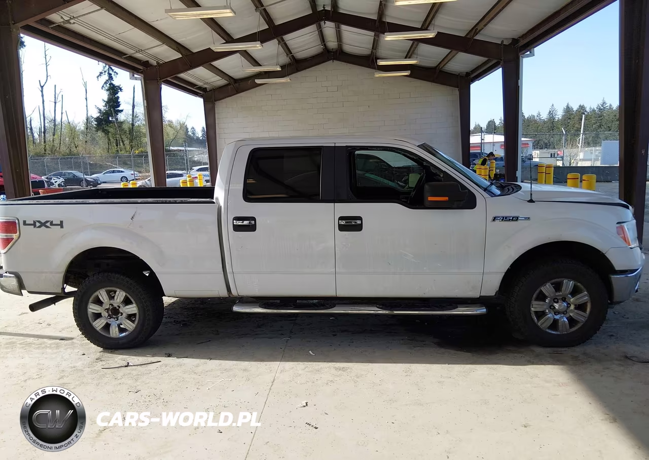 2010 Ford F-150 Fx4-Harley-Davidson-King Ranch-Lariat-Platinum-Xl-Xlt VIN:1FTFW1EV4AFA55777 - 13