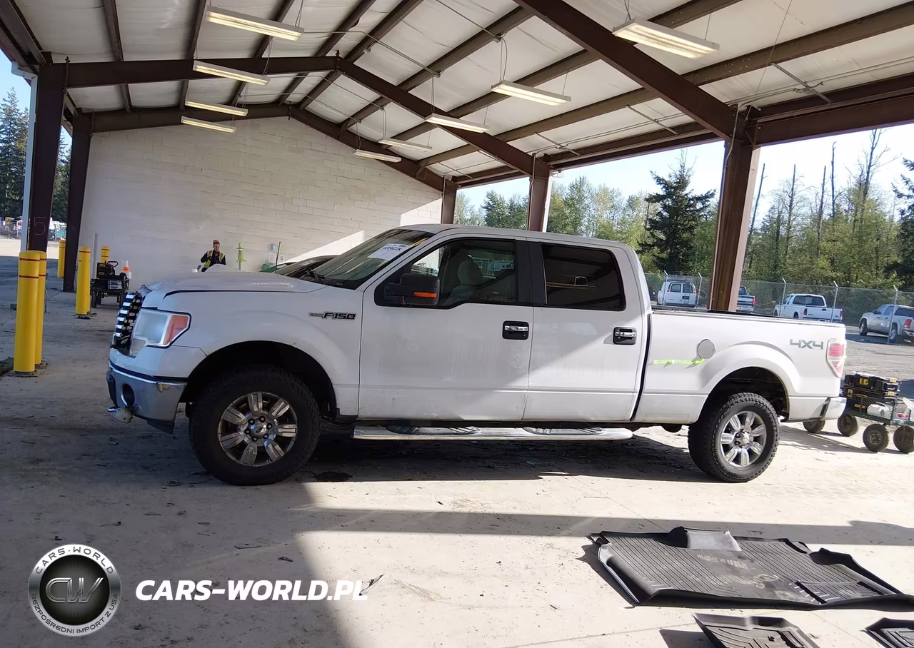2010 Ford F-150 Fx4-Harley-Davidson-King Ranch-Lariat-Platinum-Xl-Xlt VIN:1FTFW1EV4AFA55777 - 14