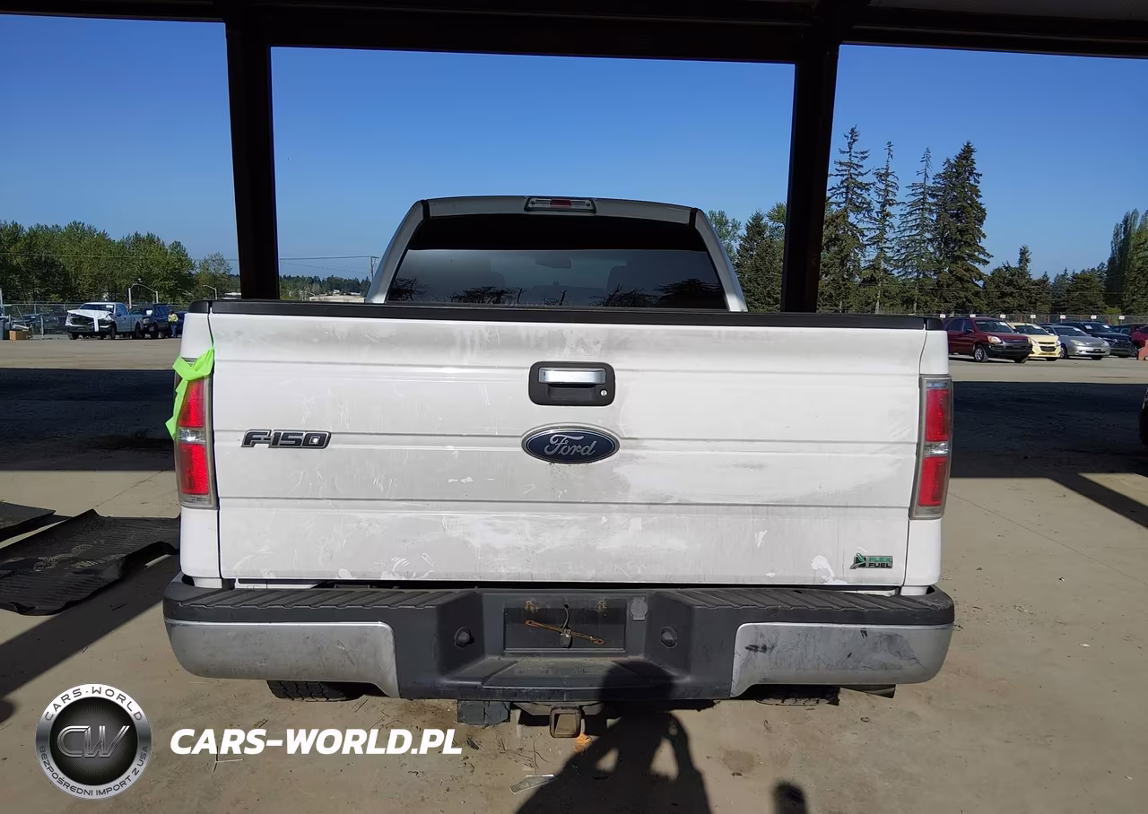 2010 Ford F-150 Fx4-Harley-Davidson-King Ranch-Lariat-Platinum-Xl-Xlt VIN:1FTFW1EV4AFA55777 - 16