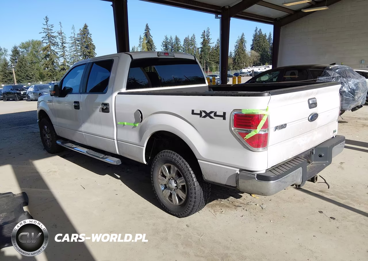 2010 Ford F-150 Fx4-Harley-Davidson-King Ranch-Lariat-Platinum-Xl-Xlt VIN:1FTFW1EV4AFA55777 - 3