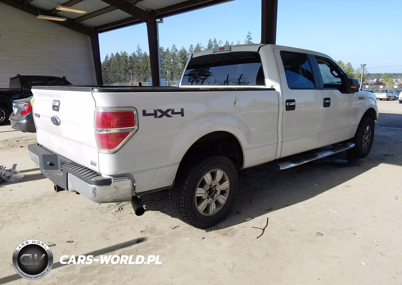 2010 Ford F-150 Fx4-Harley-Davidson-King Ranch-Lariat-Platinum-Xl-Xlt VIN:1FTFW1EV4AFA55777 - 4