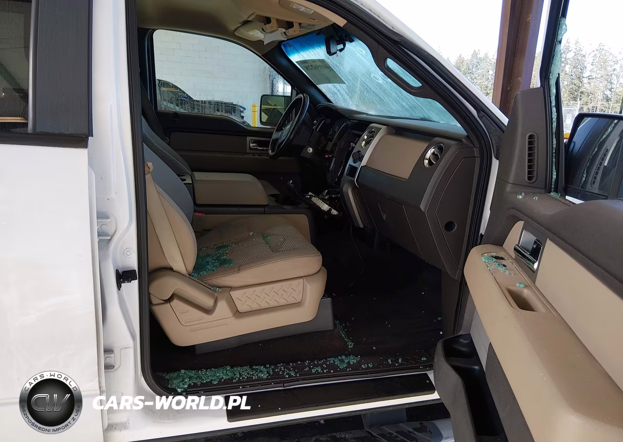 2010 Ford F-150 Fx4-Harley-Davidson-King Ranch-Lariat-Platinum-Xl-Xlt VIN:1FTFW1EV4AFA55777 - 5