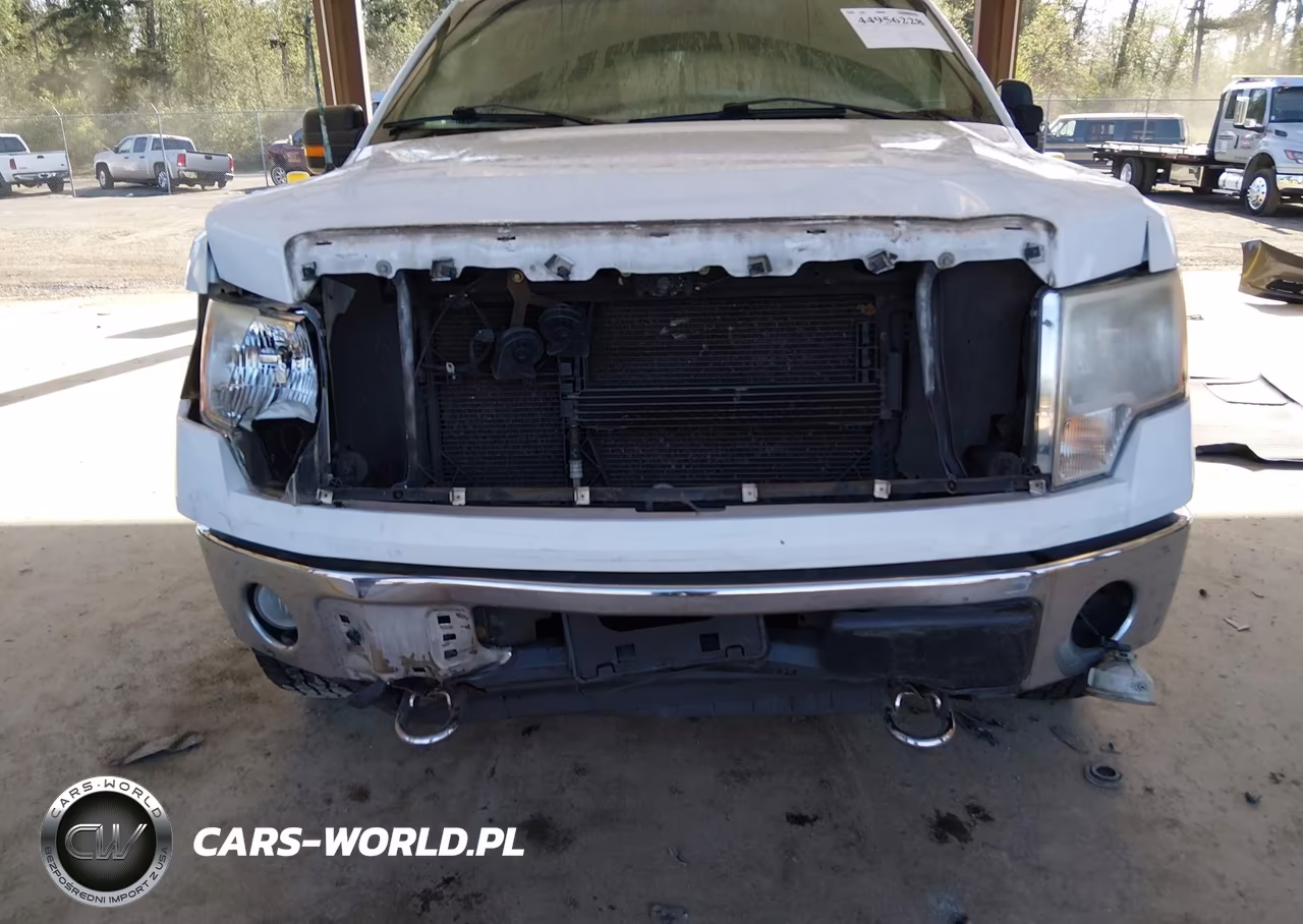 2010 Ford F-150 Fx4-Harley-Davidson-King Ranch-Lariat-Platinum-Xl-Xlt VIN:1FTFW1EV4AFA55777 - 6