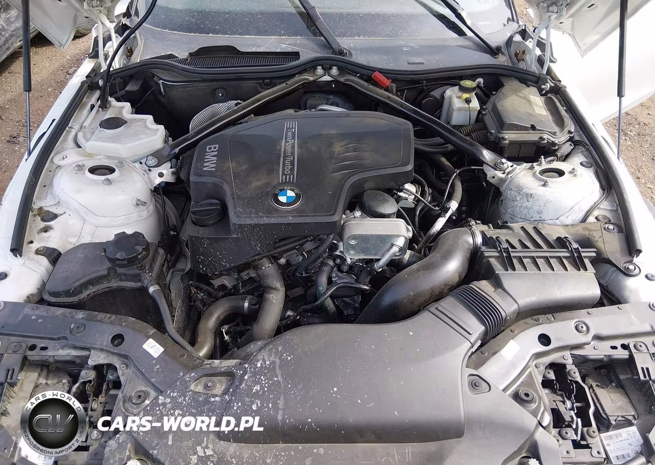 2014 BMW Z4 Sdrive28I VIN:WBALL5C53EJ105977 - 10