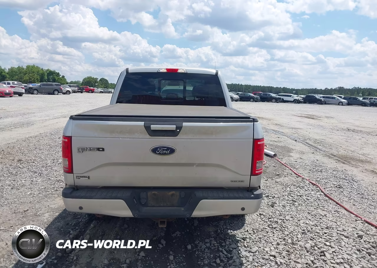 2016 Ford F-150 Xlt VIN:1FTEW1EF7GFB74999 - 16
