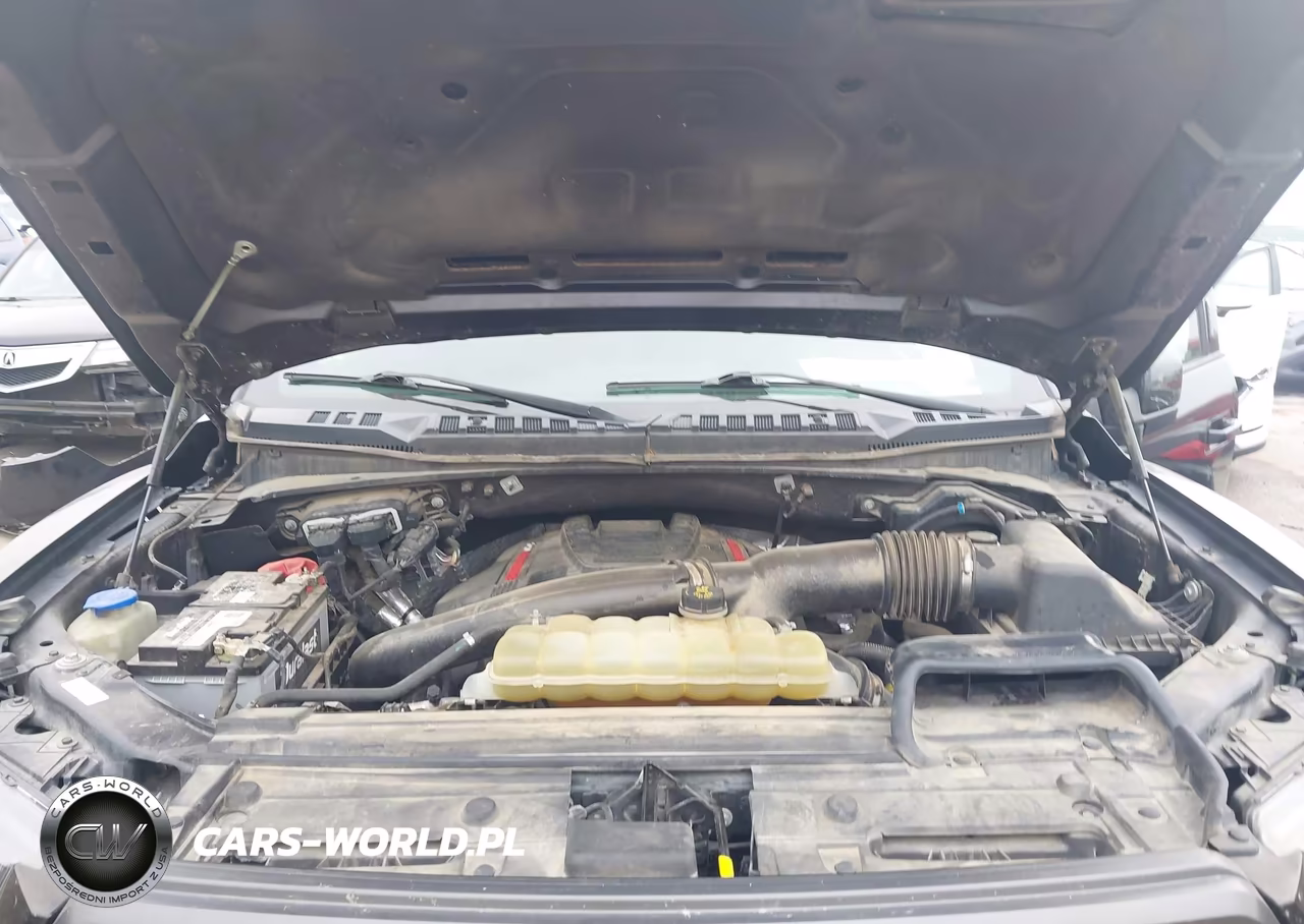 2019 Ford F-150 Raptor VIN:1FTFW1RG5KFB16499 - 10