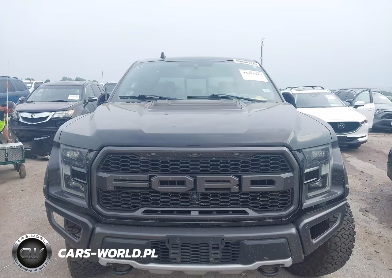 2019 Ford F-150 Raptor VIN:1FTFW1RG5KFB16499 - 12