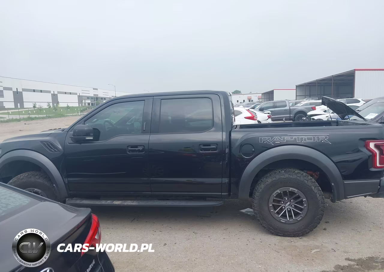 2019 Ford F-150 Raptor VIN:1FTFW1RG5KFB16499 - 14