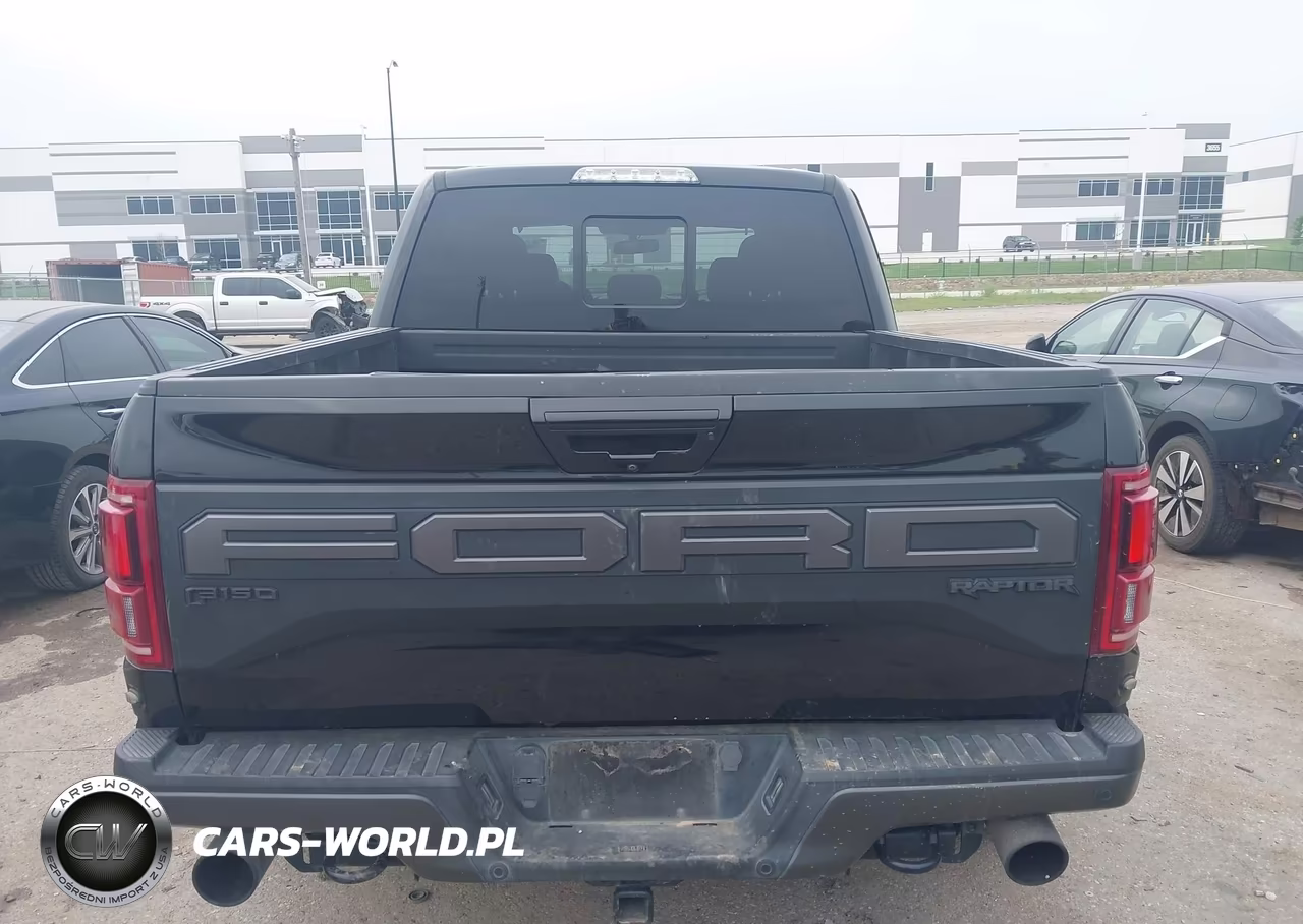 2019 Ford F-150 Raptor VIN:1FTFW1RG5KFB16499 - 16