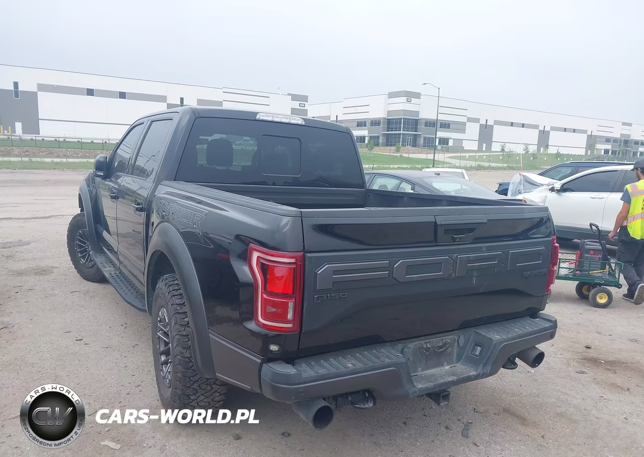 2019 Ford F-150 Raptor VIN:1FTFW1RG5KFB16499 - 3