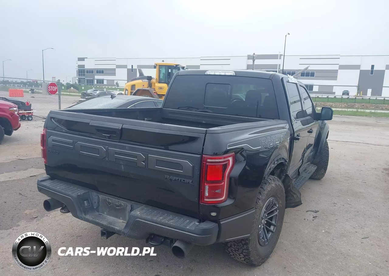 2019 Ford F-150 Raptor VIN:1FTFW1RG5KFB16499 - 4
