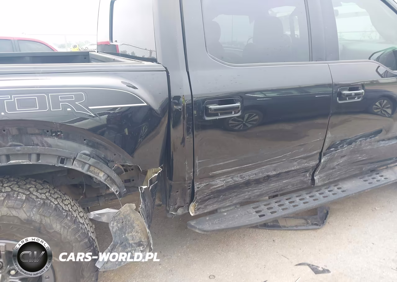 2019 Ford F-150 Raptor VIN:1FTFW1RG5KFB16499 - 6