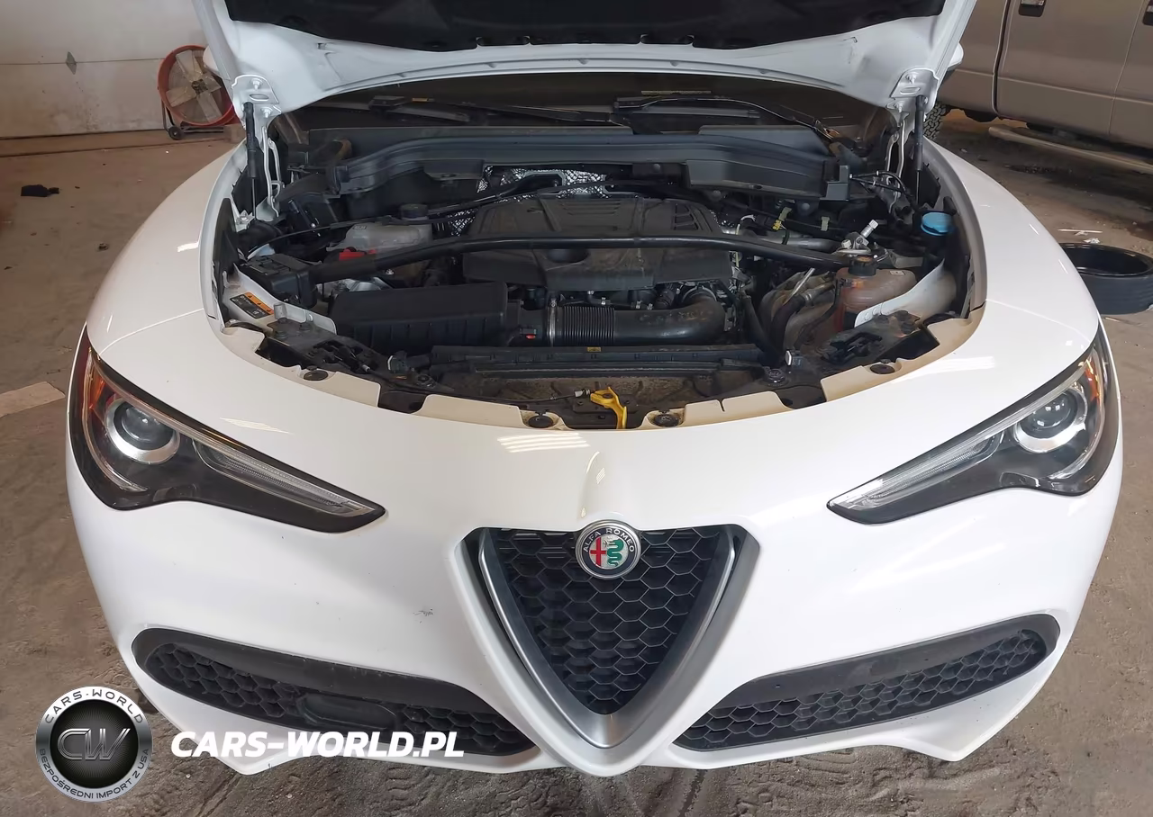 2021 Alfa Romeo Stelvio Awd VIN:ZASPAKAN3M7D02677 - 10