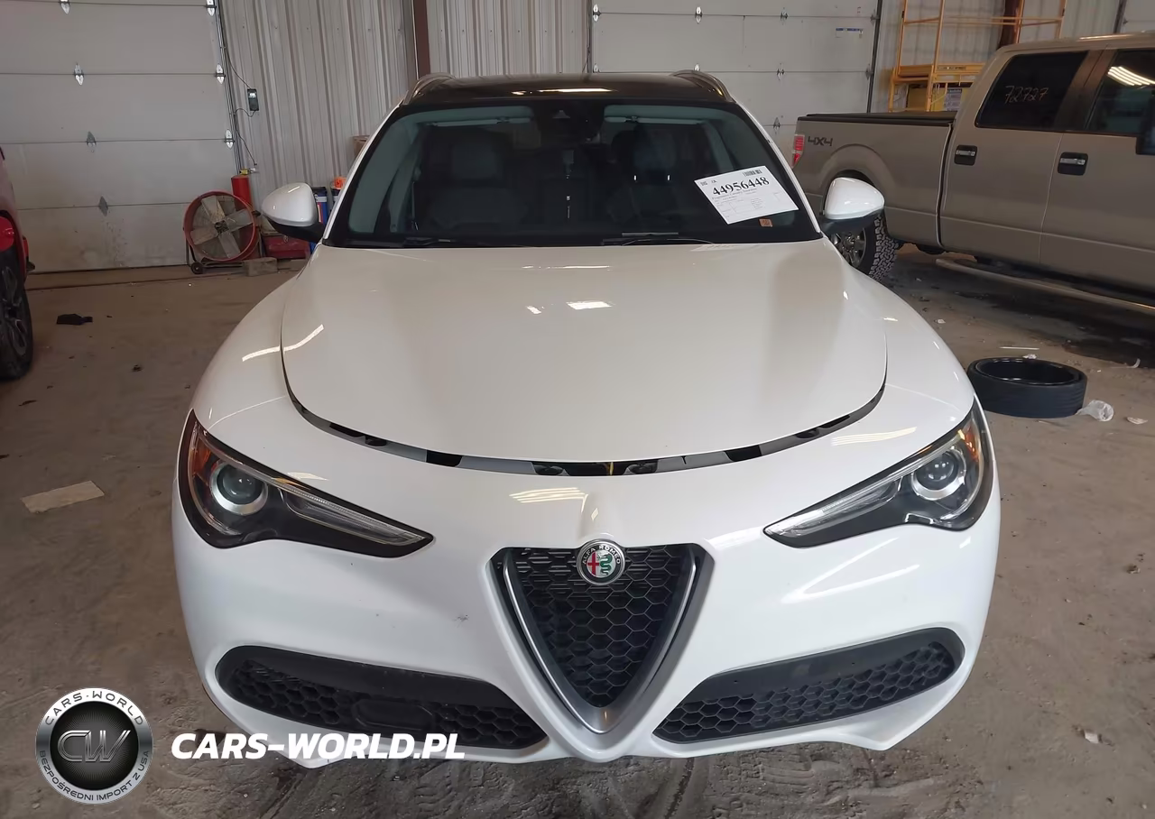 2021 Alfa Romeo Stelvio Awd VIN:ZASPAKAN3M7D02677 - 12