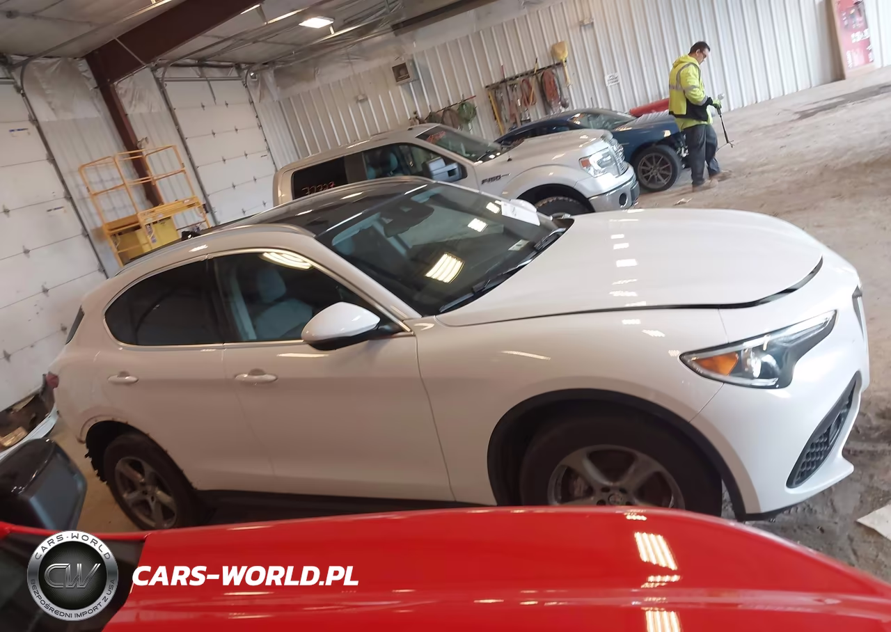 2021 Alfa Romeo Stelvio Awd VIN:ZASPAKAN3M7D02677 - 13