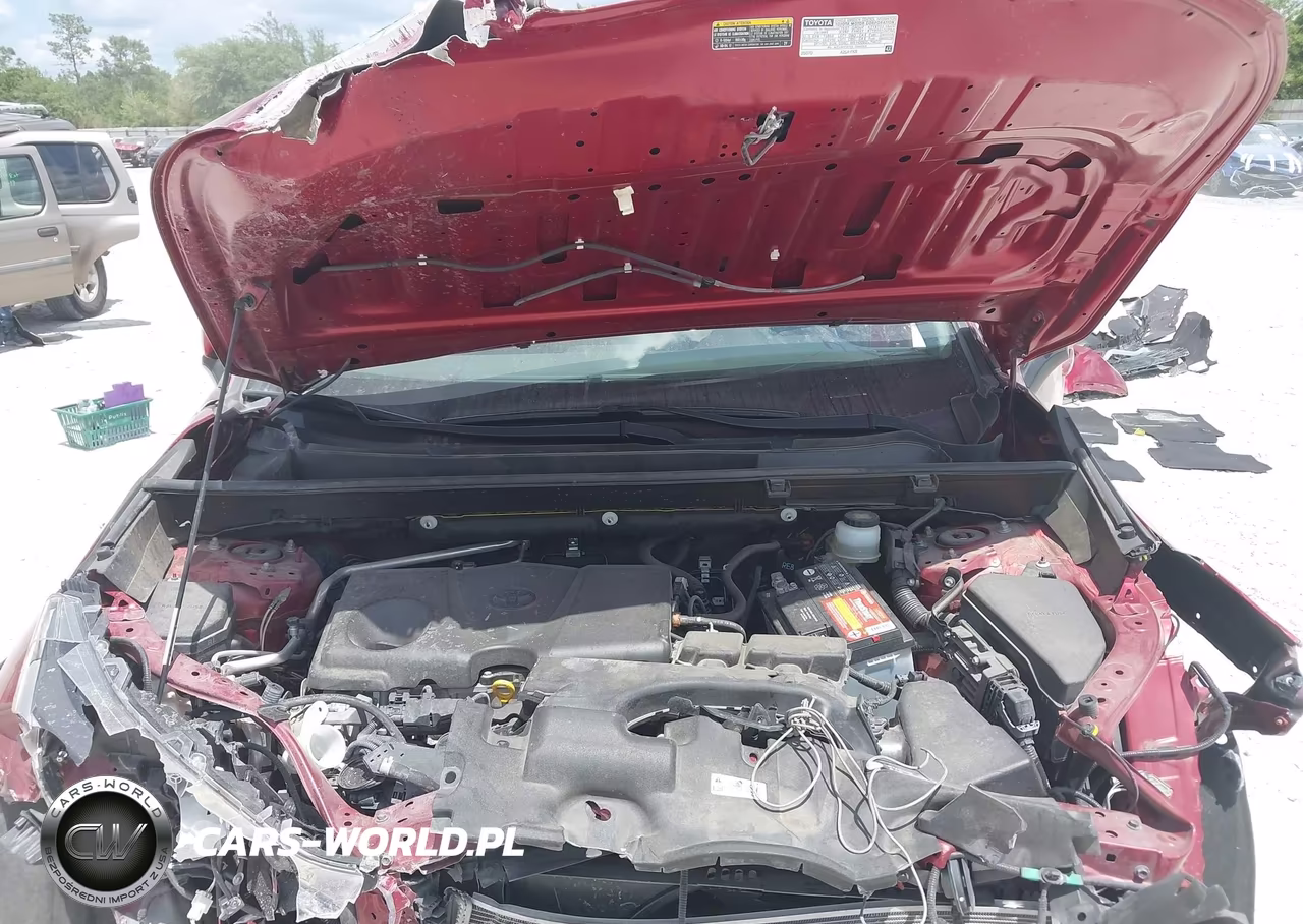 2019 Toyota Rav4 Xle VIN:JTMW1RFV6KJ013783 - 10