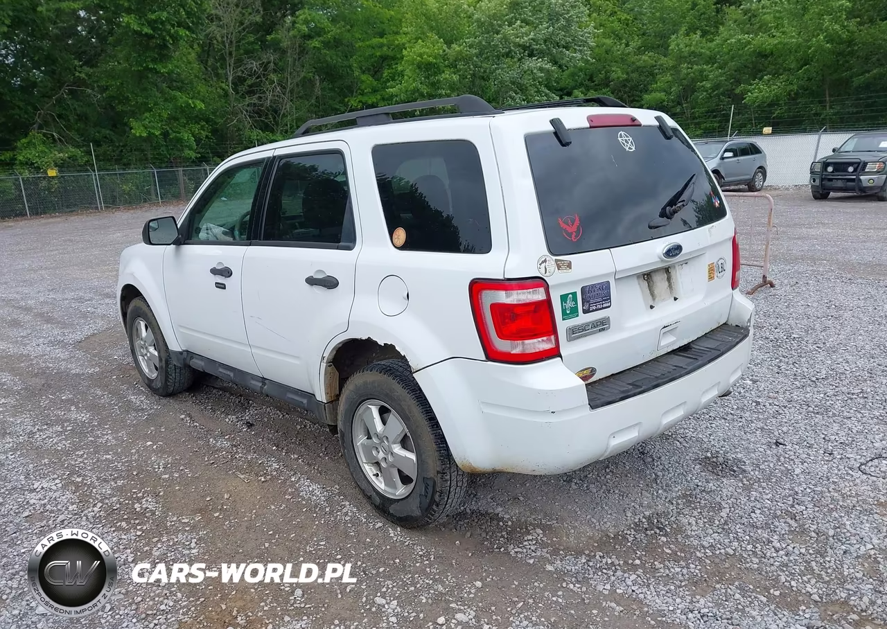 2011 Ford Escape Xlt VIN:1FMCU9D73BKB26241 - 3
