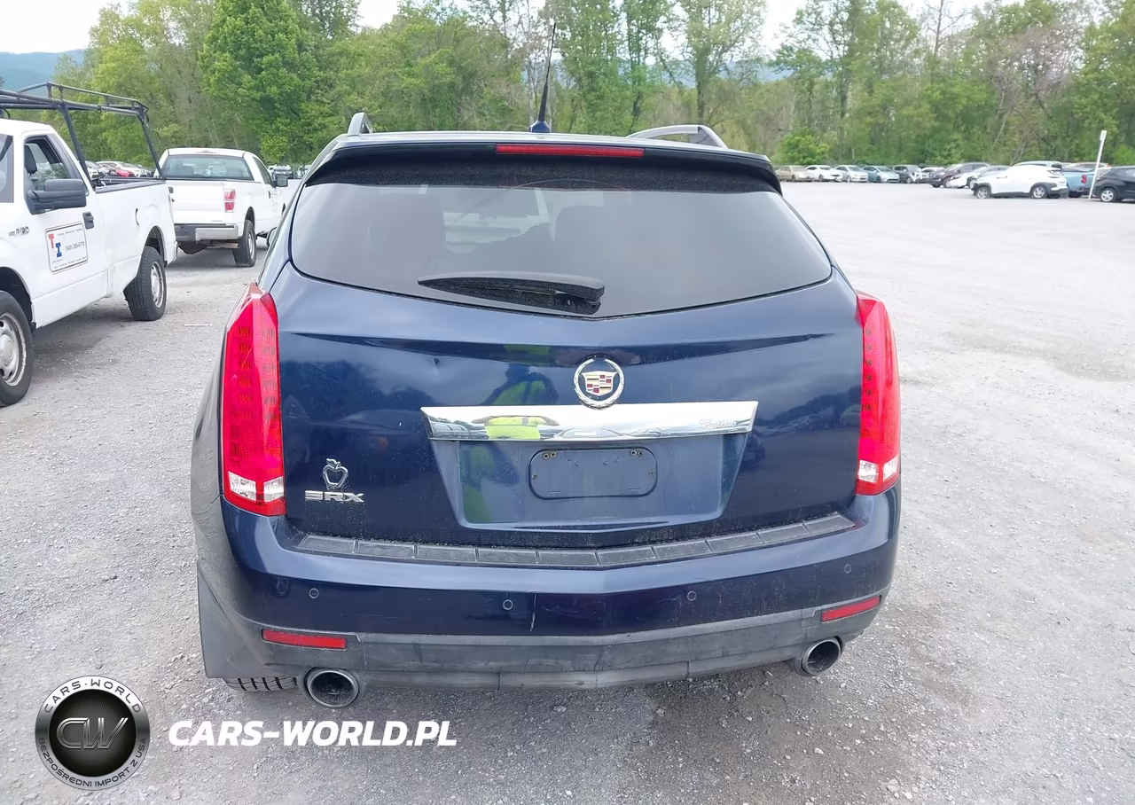 2010 Cadillac Srx Luxury Collection VIN:3GYFNAEY9AS634220 - 17