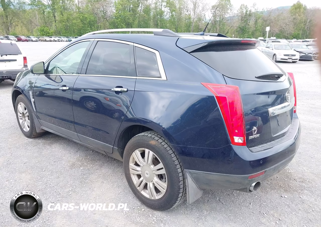 2010 Cadillac Srx Luxury Collection VIN:3GYFNAEY9AS634220 - 3