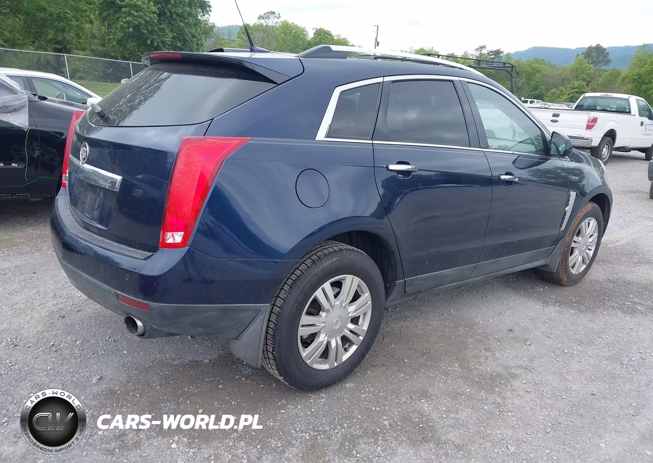 2010 Cadillac Srx Luxury Collection VIN:3GYFNAEY9AS634220 - 4