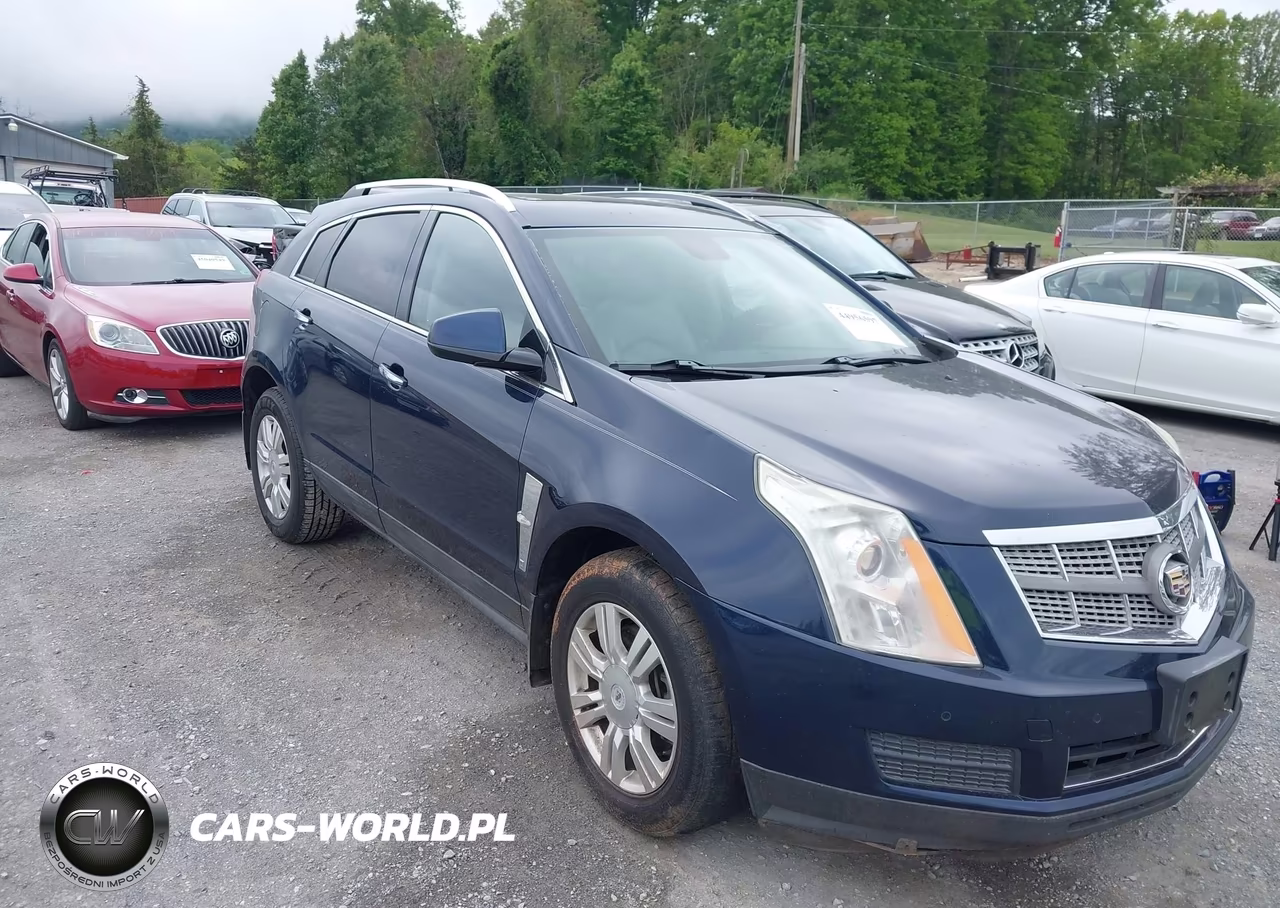 2010 Cadillac Srx Luxury Collection VIN:3GYFNAEY9AS634220 - 6