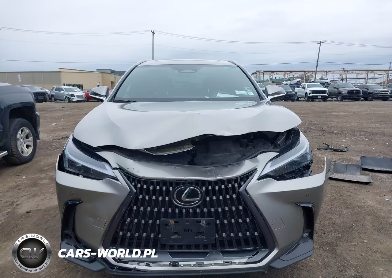 2025 Lexus Nx 350H Premium VIN:2T2GKCEZXSC042939 - 13