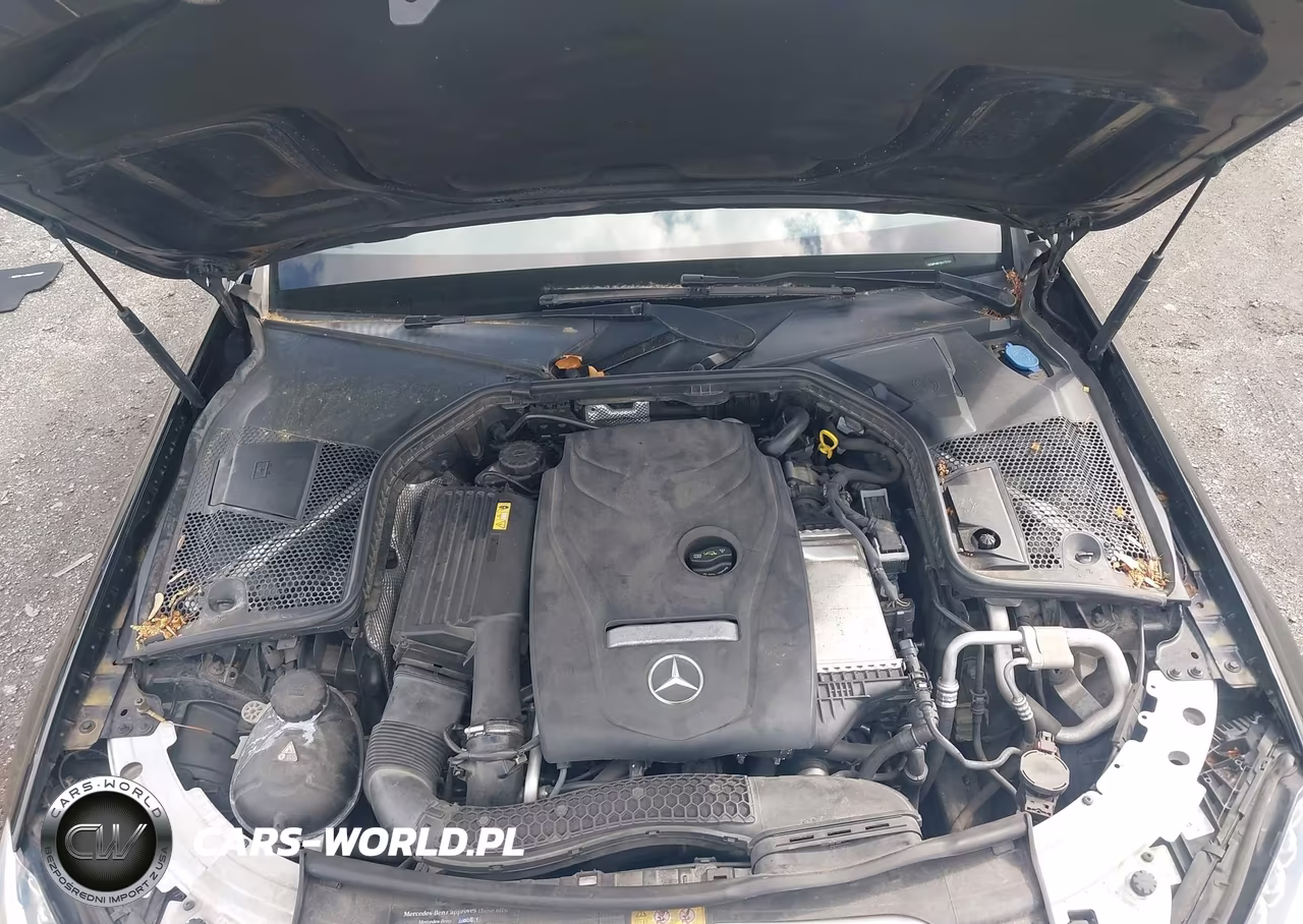 2016 Mercedes-Benz C 300 Sport 4Matic VIN:55SWF4KB1GU172126 - 10