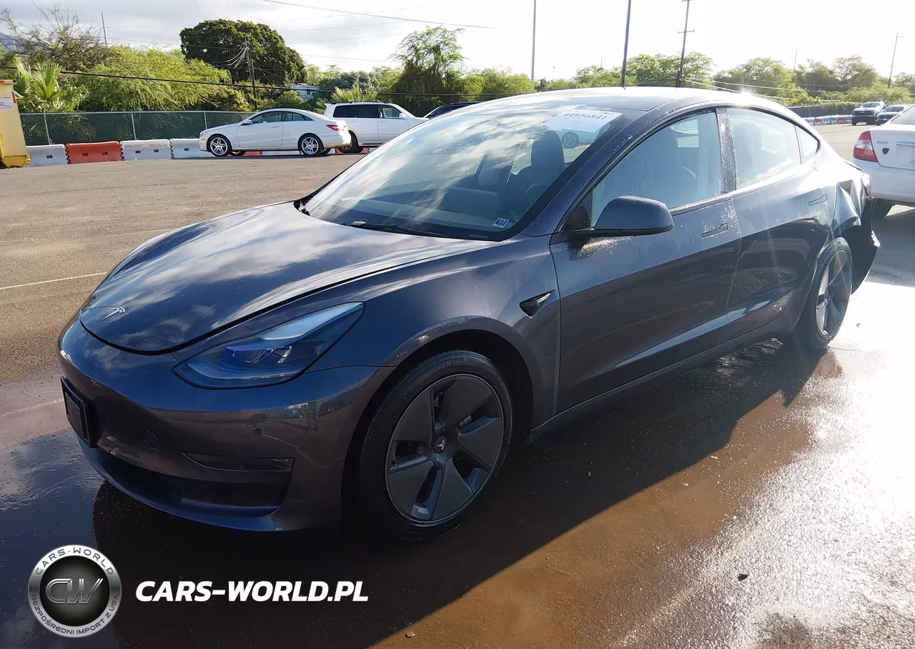 2023 Tesla Model 3 Rear-Wheel Drive VIN:5YJ3E1EA5PF669172 - 2