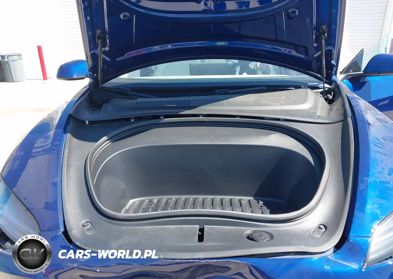 2025 Tesla Model 3 Long Range Rear-Wheel Drive-Standard Rear-Wheel Drive VIN:5YJ3E1EA4SF013554 - 10