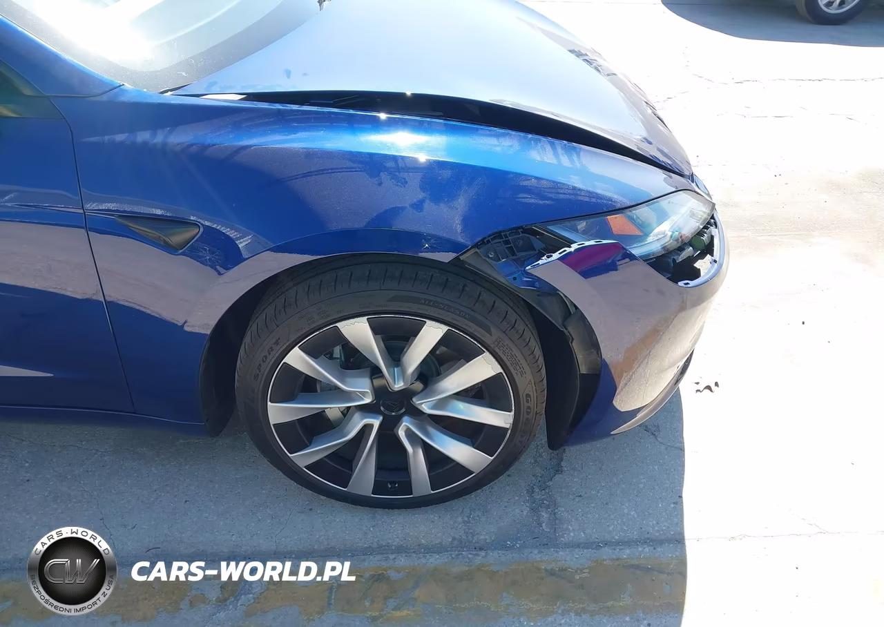 2025 Tesla Model 3 Long Range Rear-Wheel Drive-Standard Rear-Wheel Drive VIN:5YJ3E1EA4SF013554 - 6