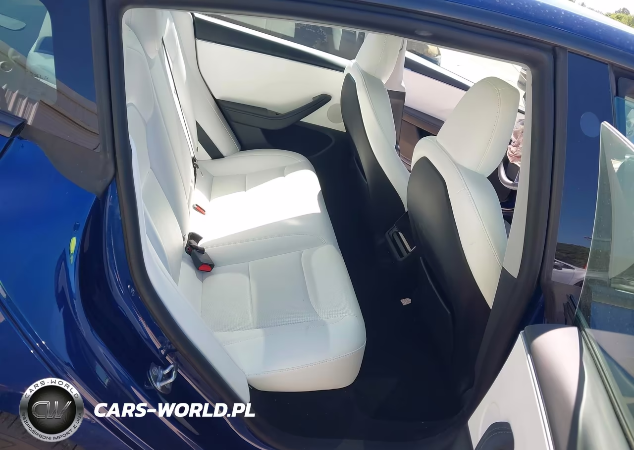 2025 Tesla Model 3 Long Range Rear-Wheel Drive-Standard Rear-Wheel Drive VIN:5YJ3E1EA4SF013554 - 8