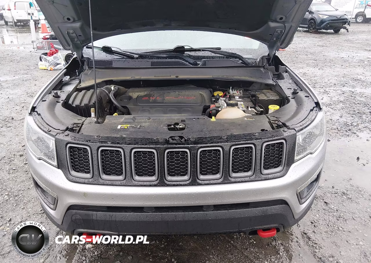 2019 Jeep Compass Trailhawk 4X4 VIN:3C4NJDDB9KT733224 - 10