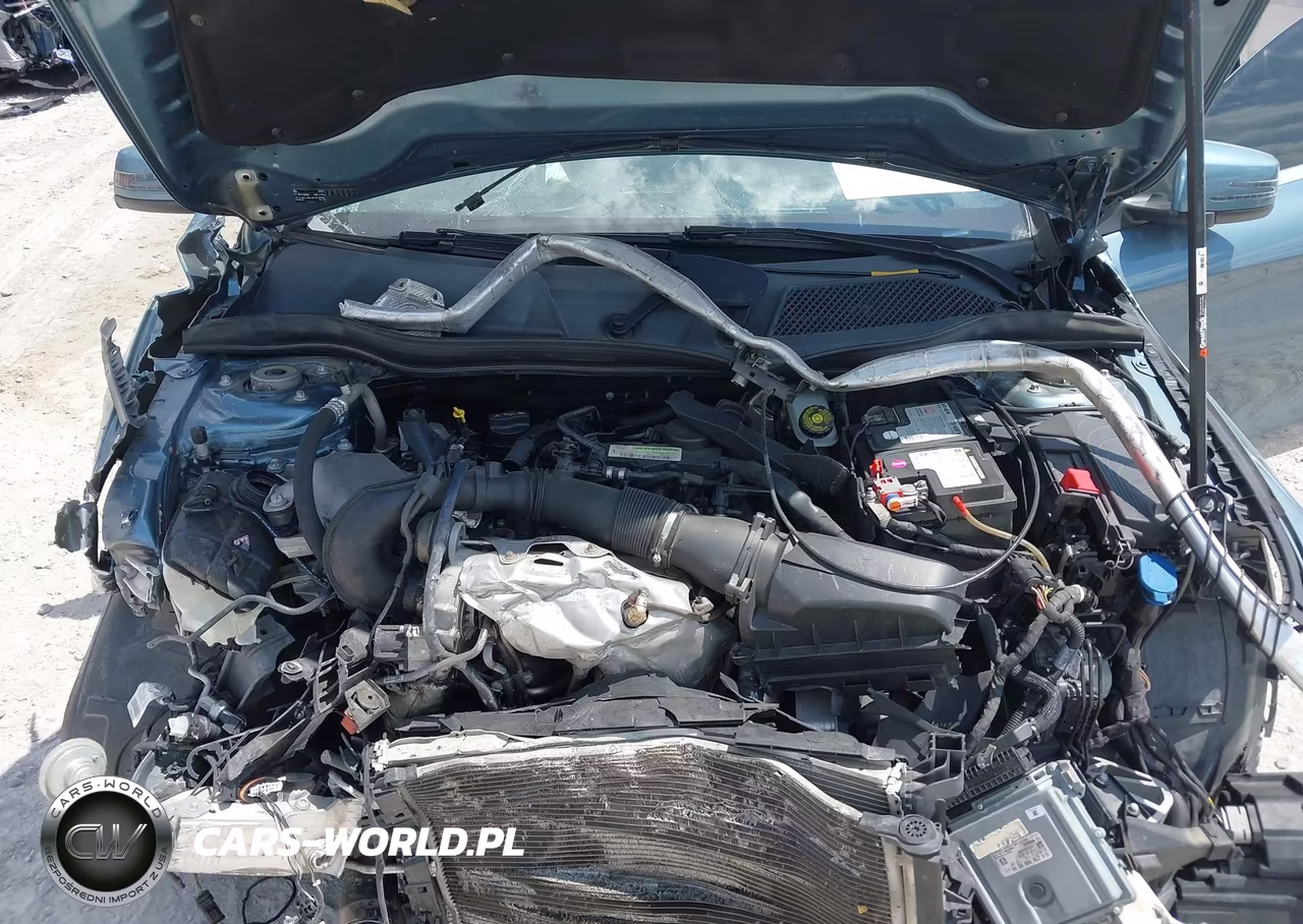 2014 Mercedes-Benz Cla 250 VIN:WDDSJ4EB9EN036213 - 10