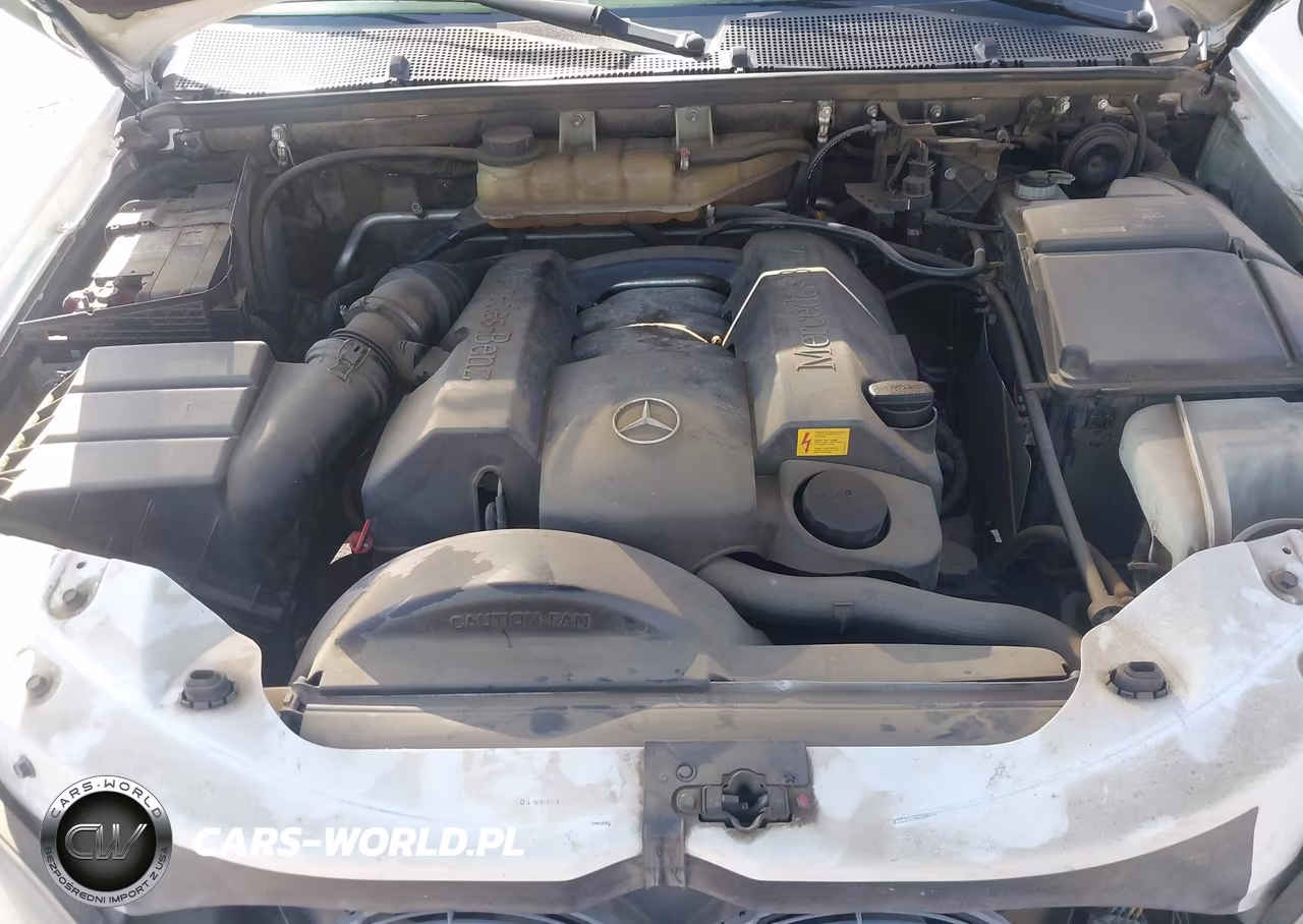 2001 Mercedes-Benz Ml 320 VIN:4JGAB54E91A264794 - 10