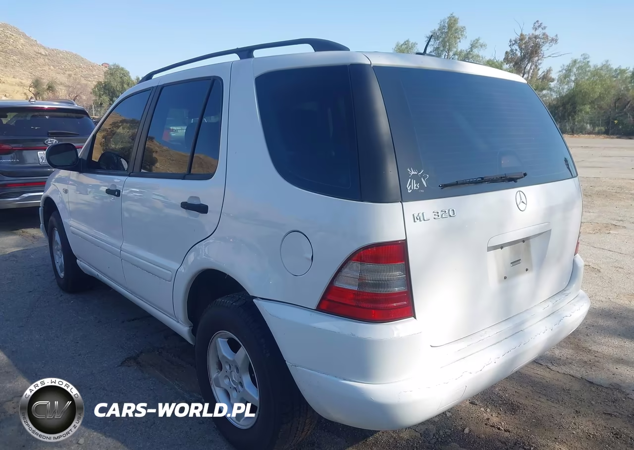 2001 Mercedes-Benz Ml 320 VIN:4JGAB54E91A264794 - 3