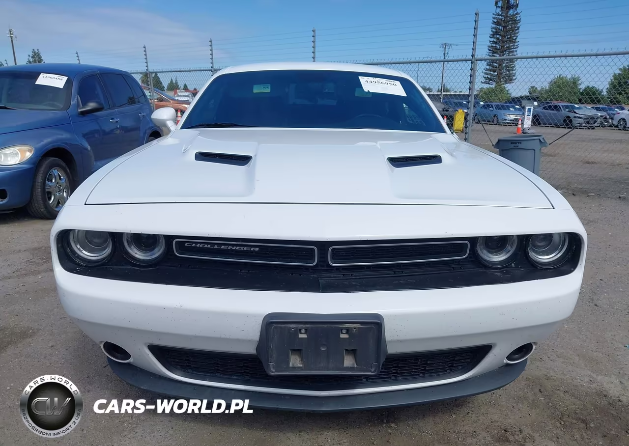 2019 Dodge Challenger Sxt VIN:2C3CDZAG9KH687760 - 12