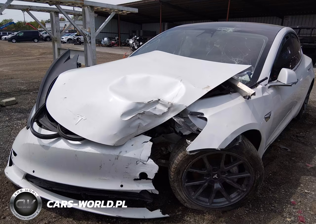 2020 Tesla Model 3 Standard Range Plus Rear-Wheel Drive-Standard Range Rear-Wheel Drive VIN:5YJ3E1EA4LF747211 - 10