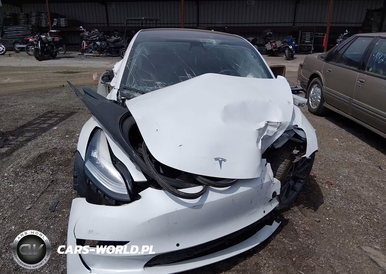 2020 Tesla Model 3 Standard Range Plus Rear-Wheel Drive-Standard Range Rear-Wheel Drive VIN:5YJ3E1EA4LF747211 - 11