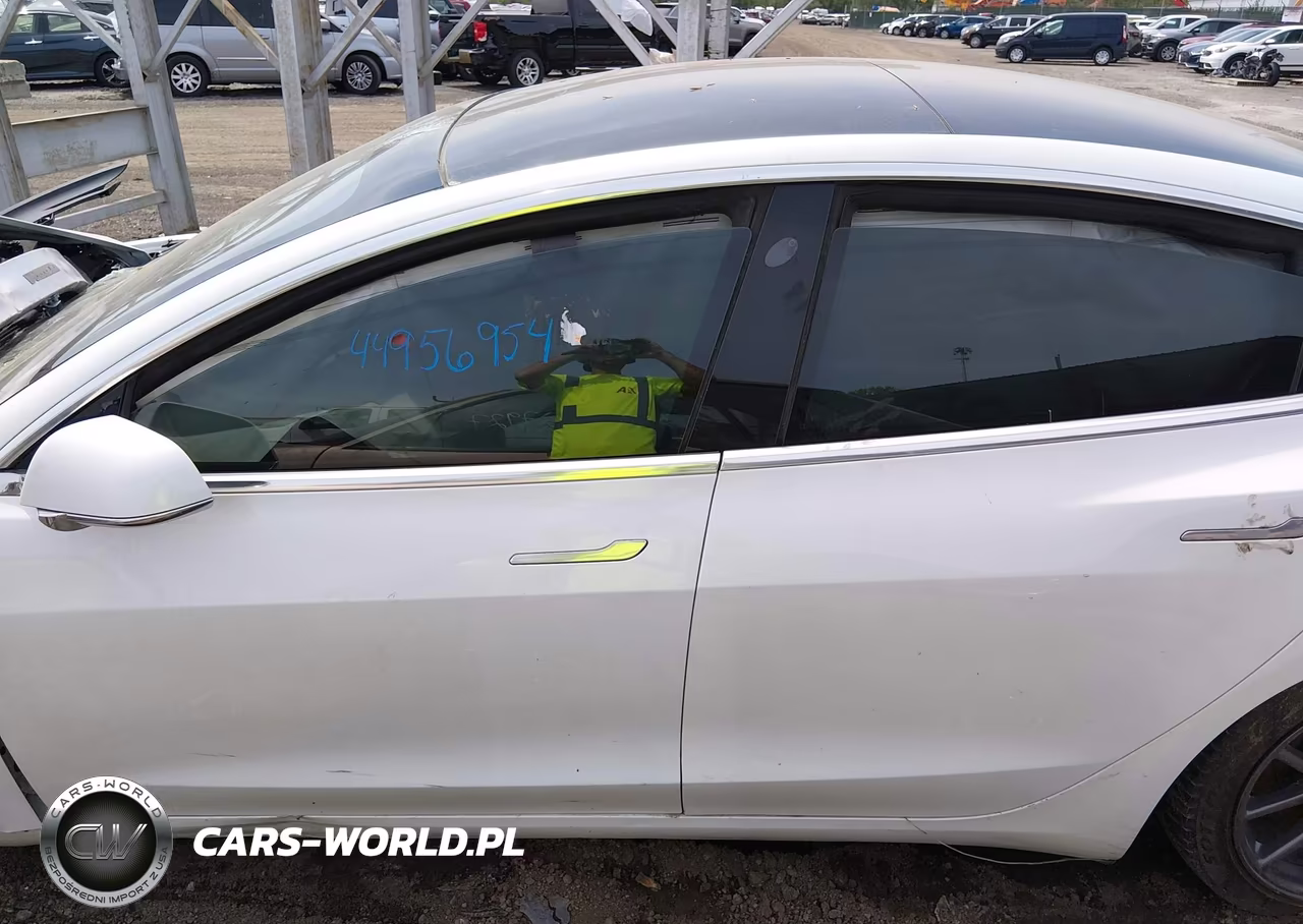 2020 Tesla Model 3 Standard Range Plus Rear-Wheel Drive-Standard Range Rear-Wheel Drive VIN:5YJ3E1EA4LF747211 - 13