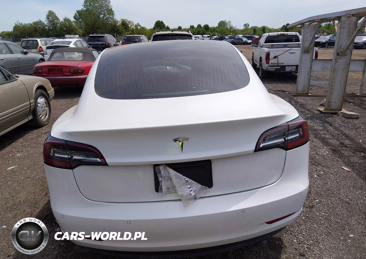 2020 Tesla Model 3 Standard Range Plus Rear-Wheel Drive-Standard Range Rear-Wheel Drive VIN:5YJ3E1EA4LF747211 - 15