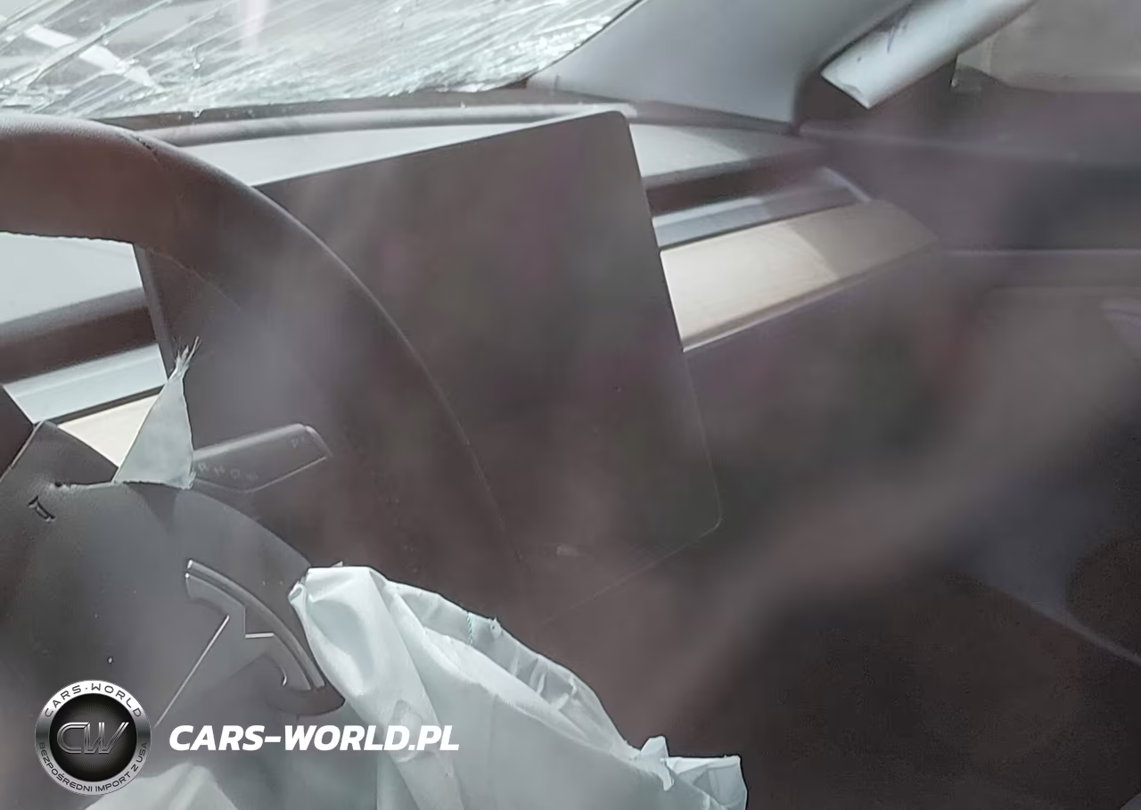 2020 Tesla Model 3 Standard Range Plus Rear-Wheel Drive-Standard Range Rear-Wheel Drive VIN:5YJ3E1EA4LF747211 - 16