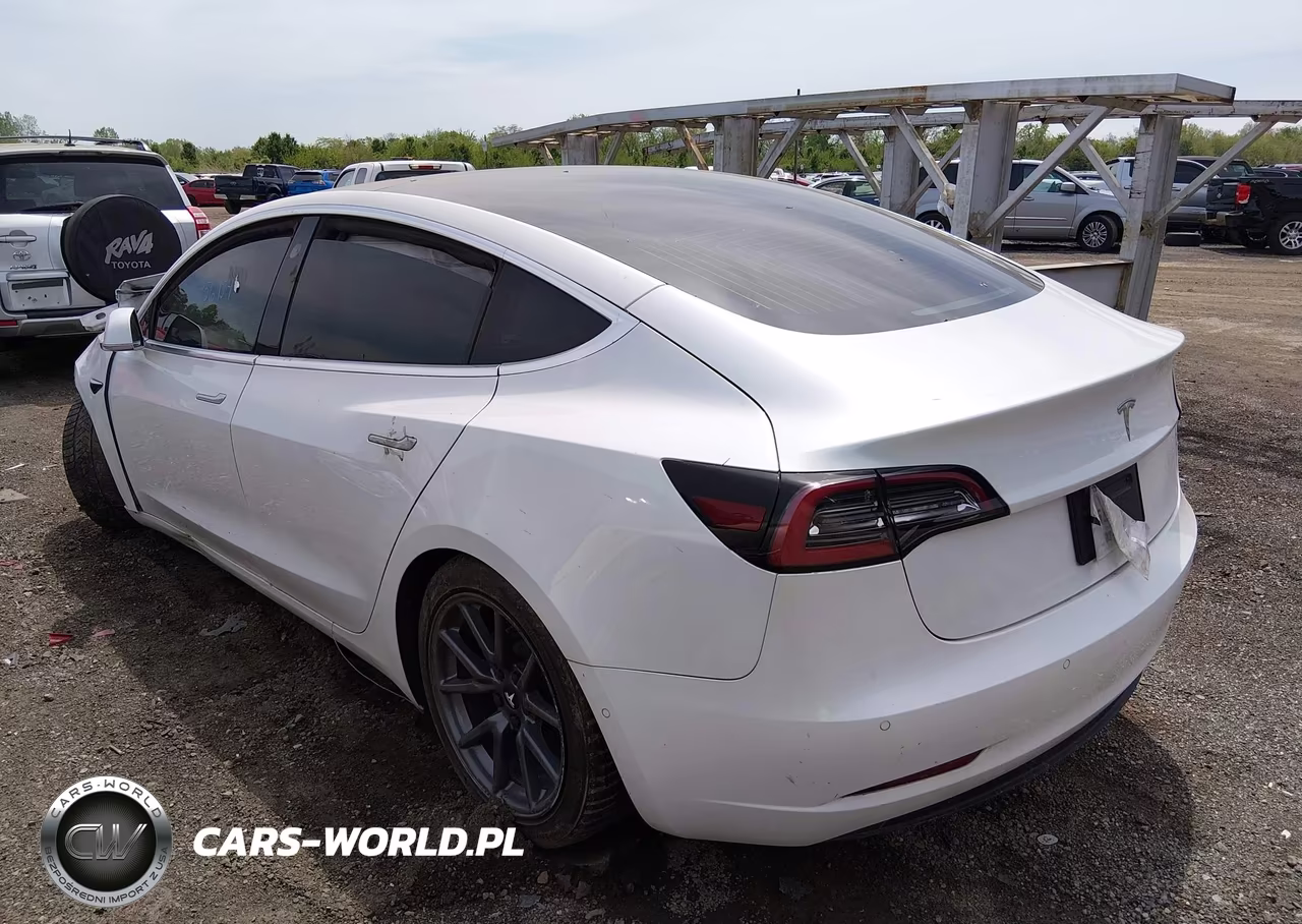 2020 Tesla Model 3 Standard Range Plus Rear-Wheel Drive-Standard Range Rear-Wheel Drive VIN:5YJ3E1EA4LF747211 - 3