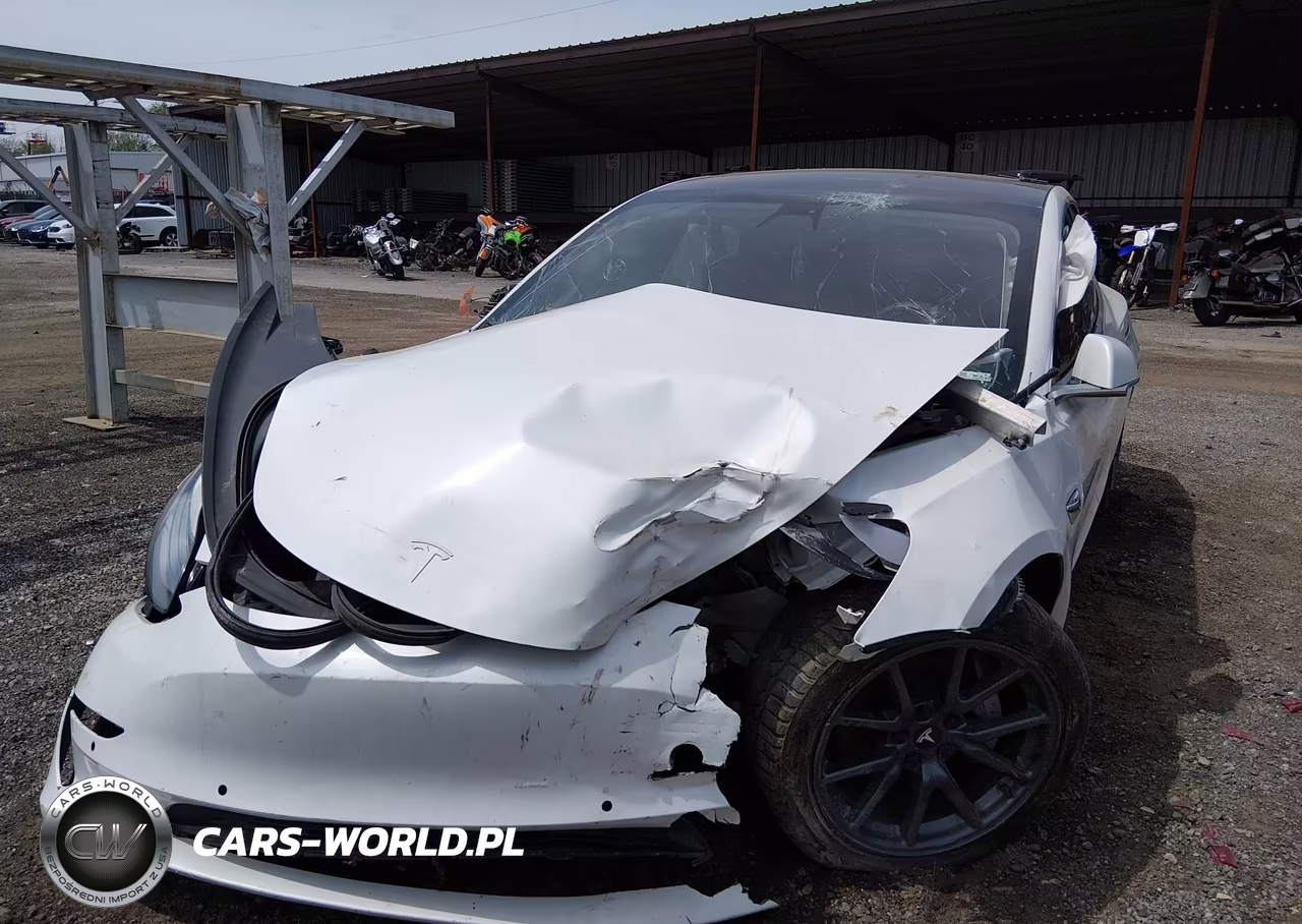 2020 Tesla Model 3 Standard Range Plus Rear-Wheel Drive-Standard Range Rear-Wheel Drive VIN:5YJ3E1EA4LF747211 - 6